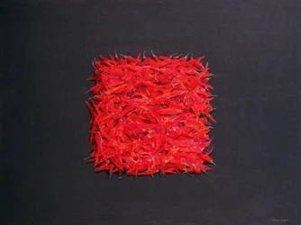 Piments